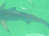 2014-Florida07