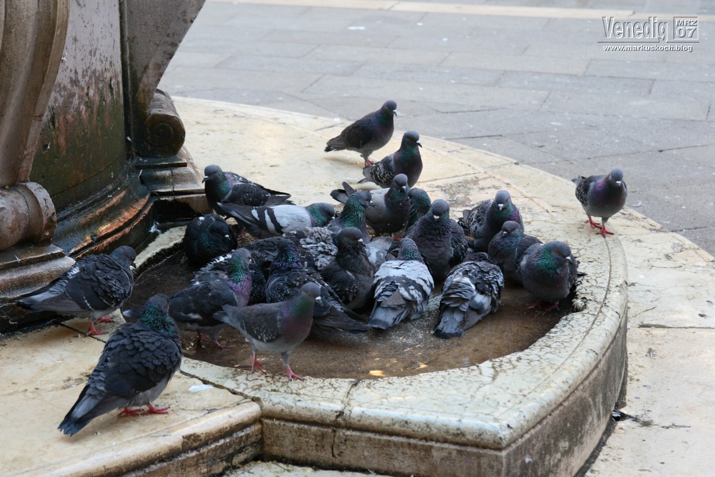 070313_venedig_tag2_mk005