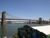 080513_nyc_tag2_mk364