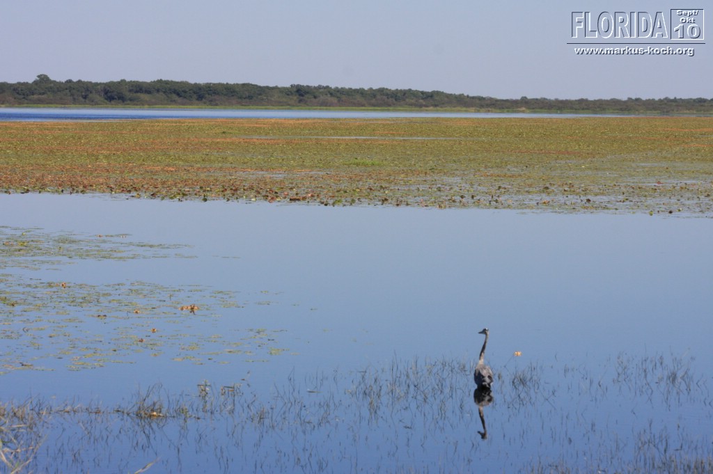 20101008_way_to_cape_coral_mk089