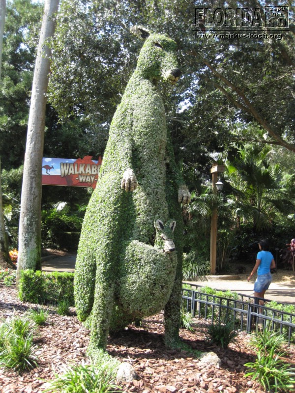 20101014_cape_coral6_busch_gardens_mk027
