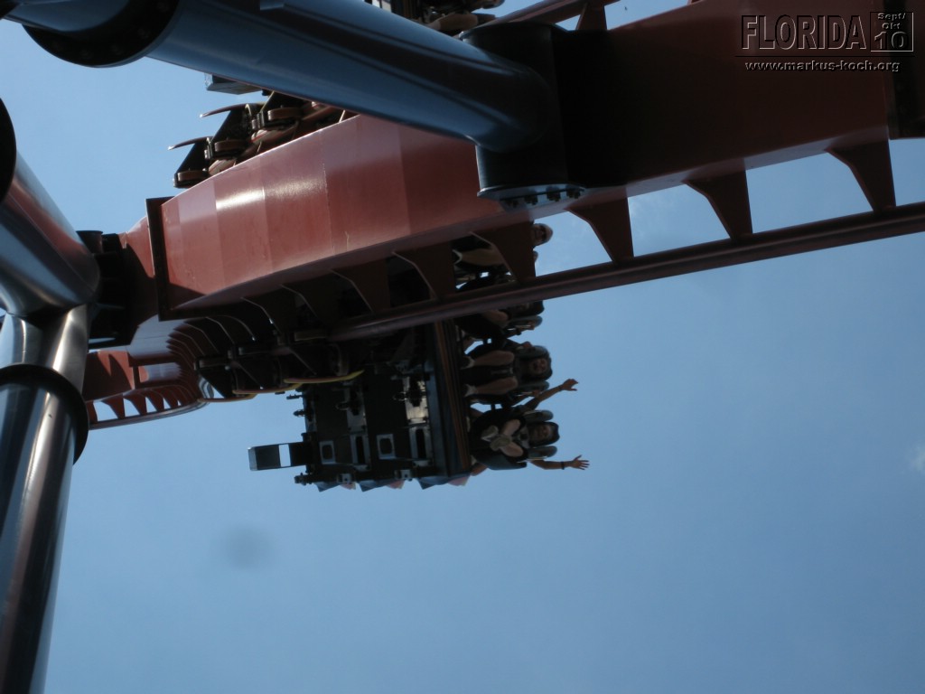 20101014_cape_coral6_busch_gardens_mk091