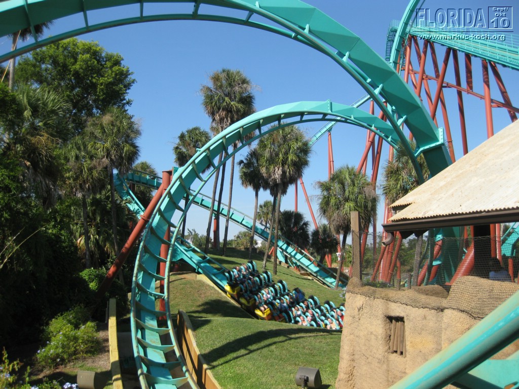 20101014_cape_coral6_busch_gardens_mk114