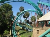 20101014_cape_coral6_busch_gardens_mk114
