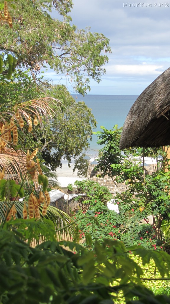 20121019_tag2_mru_mk006