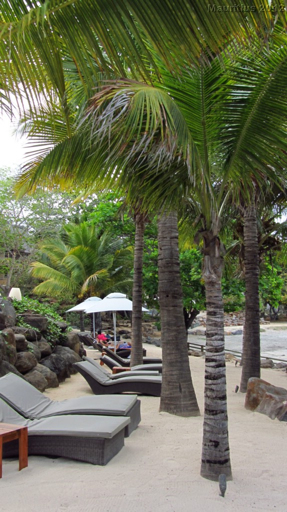 20121019_tag2_mru_mk013