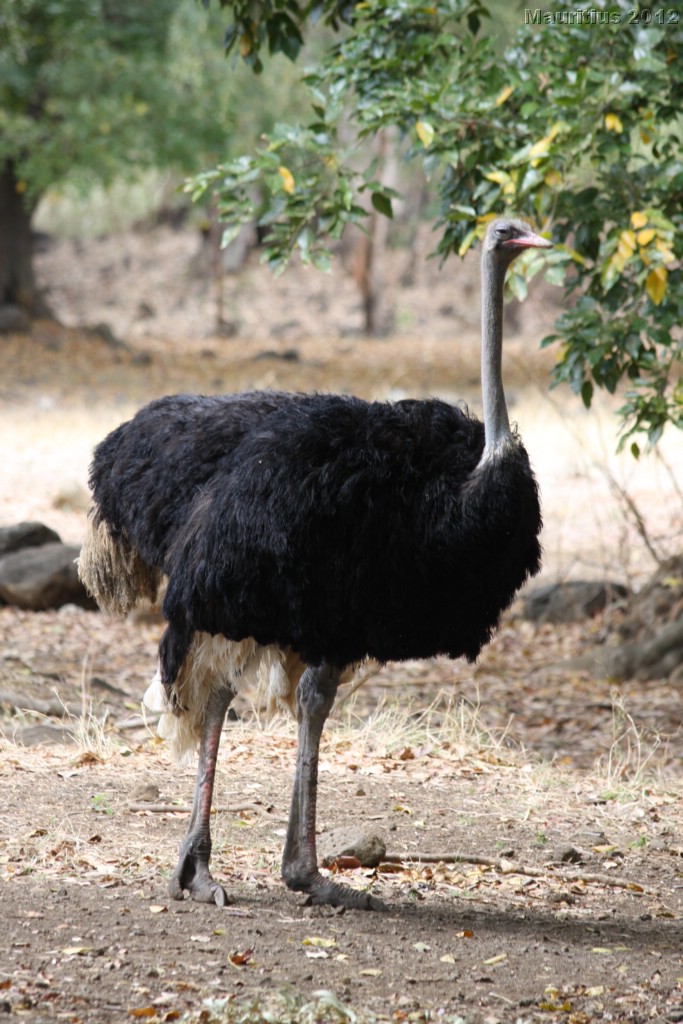 20121021_tag4_mru_cesalapark_mk071