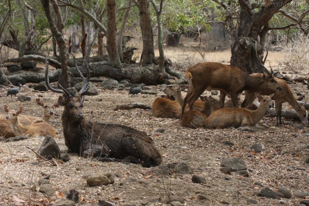 20121021_tag4_mru_cesalapark_mk083