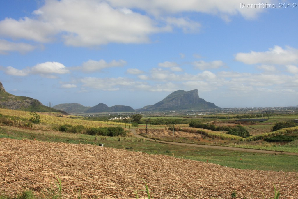 20121022_tag5_mru_naturetrails_mk006