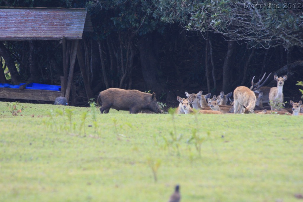 20121022_tag5_mru_naturetrails_mk047