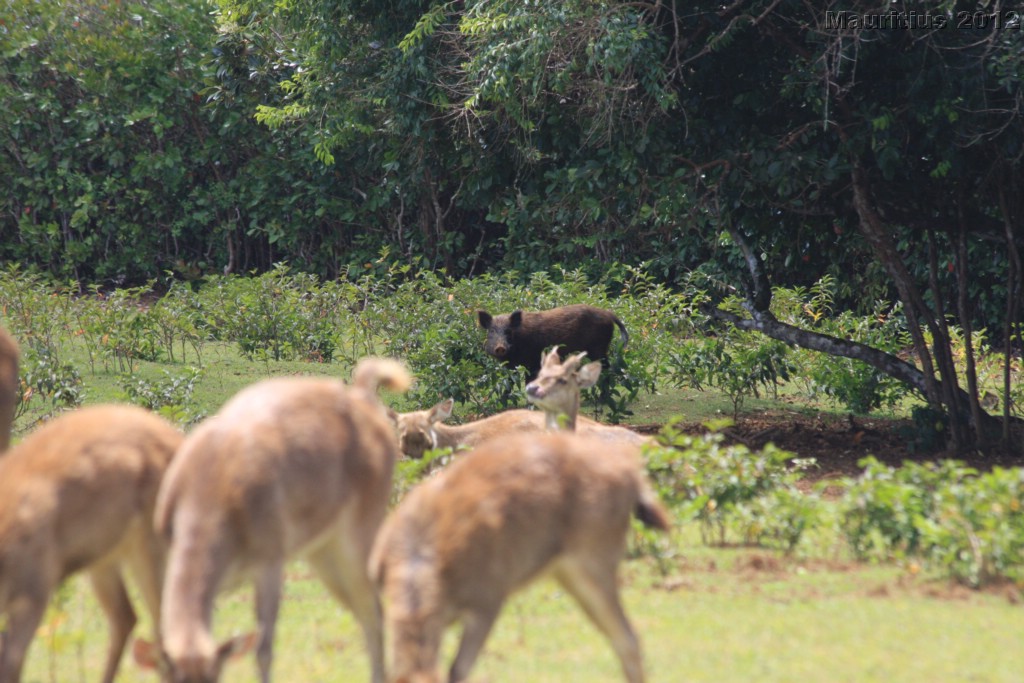 20121022_tag5_mru_naturetrails_mk092