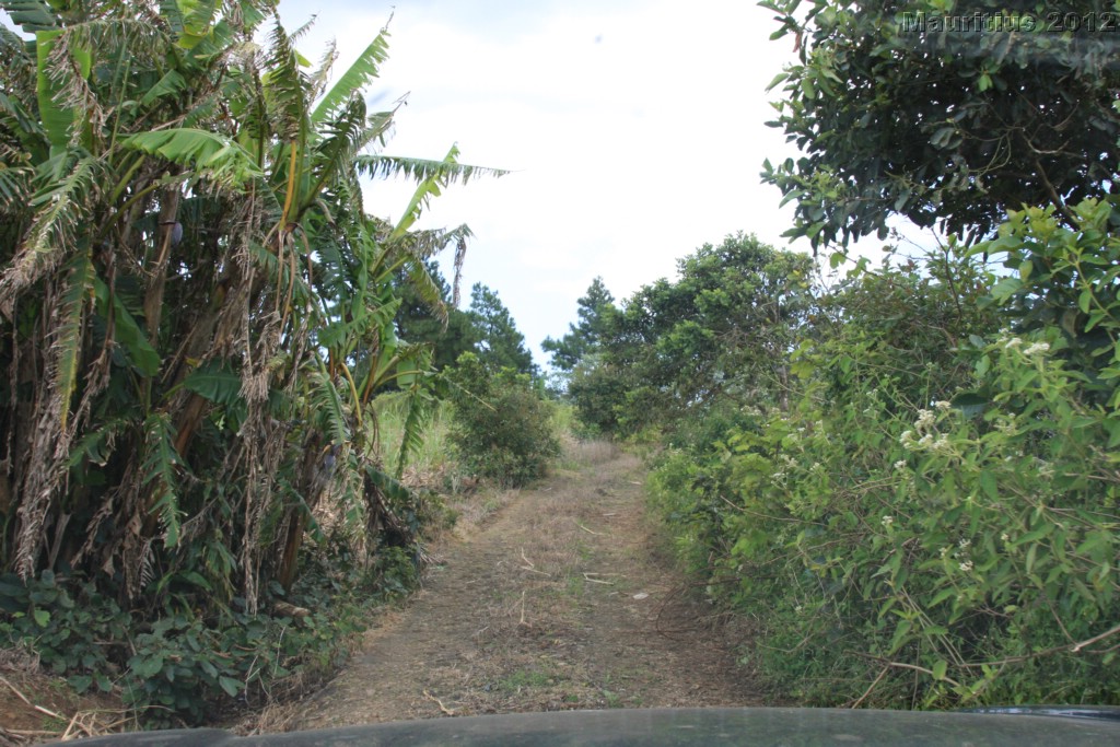 20121022_tag5_mru_naturetrails_mk108