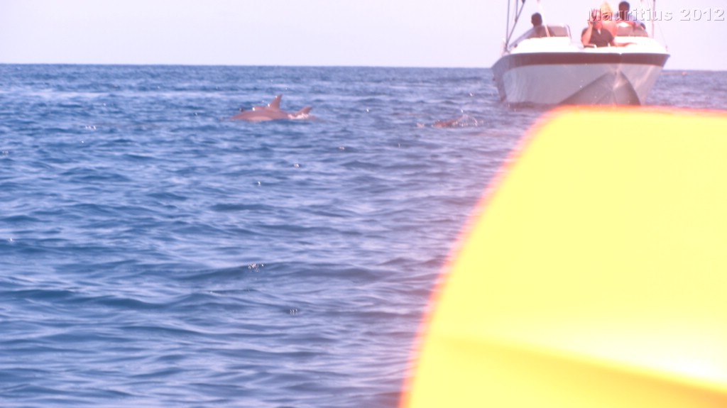 20121023_tag6_mru_mk019