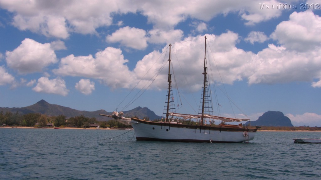 20121026_tag9_mru_dolswim_mk070