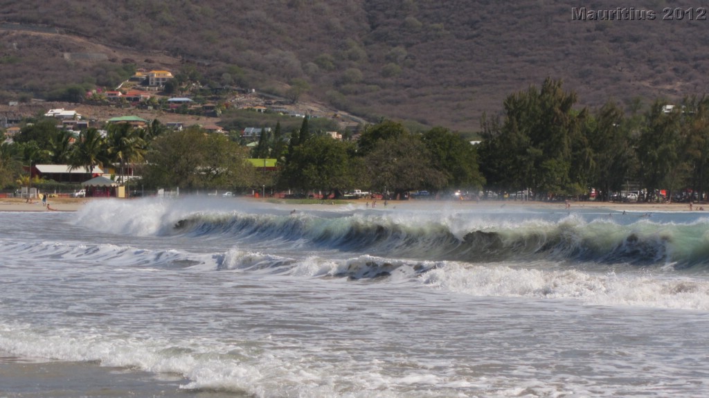 20121026_tag9_mru_dolswim_mk089