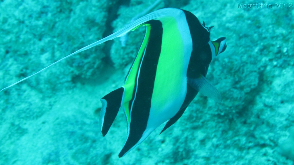 20121027_tag10_mru_tauchen2_mk032