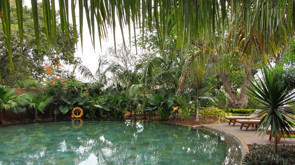 20121028_tag11_mru_mk010