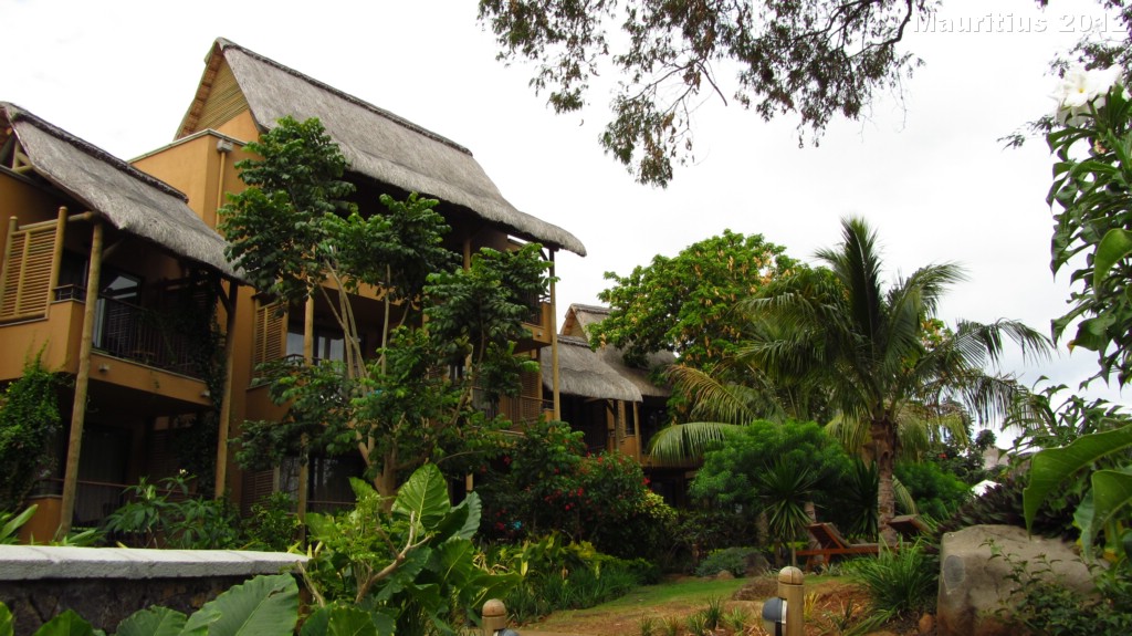 20121028_tag11_mru_mk012