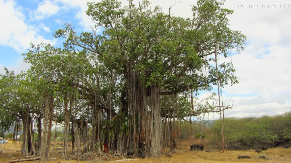 20121028_tag11_mru_mk032