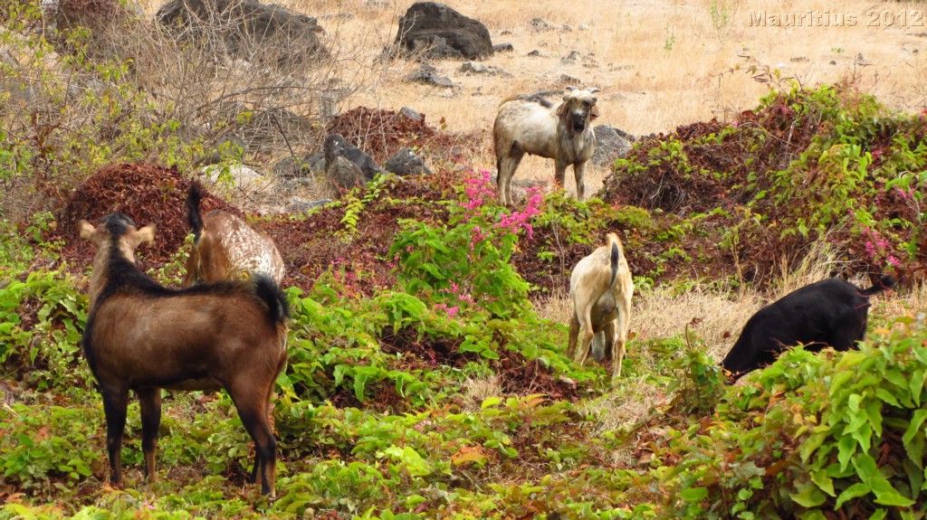 20121028_tag11_mru_mk038