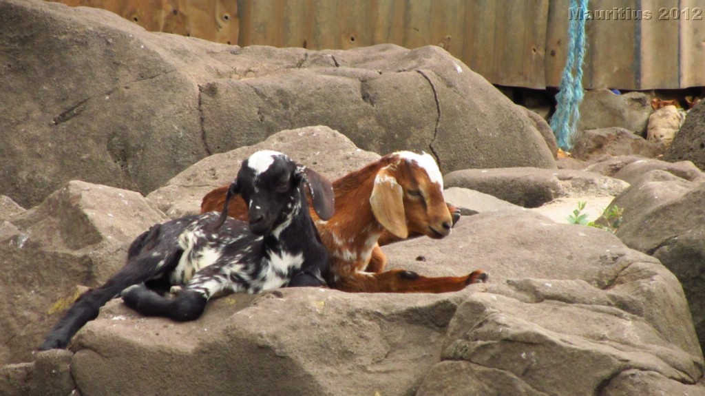 20121028_tag11_mru_mk040