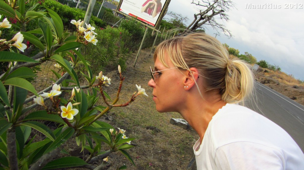 20121028_tag11_mru_mk049