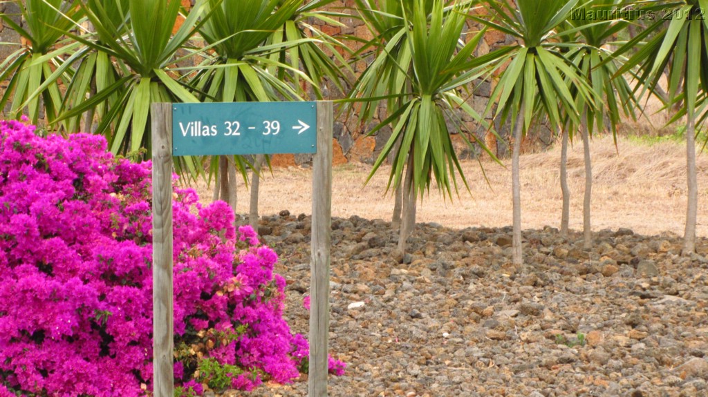 20121028_tag11_mru_mk058