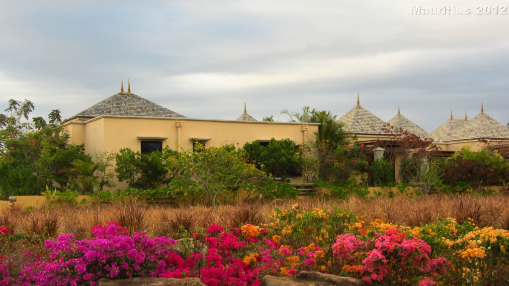 20121028_tag11_mru_mk059