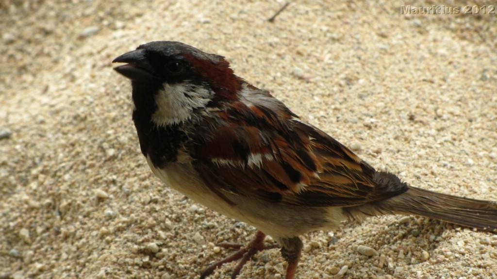 20121029_tag12_mru_mk013