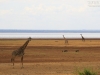 20131002_lake_manyara_np_flug_sansibar_mk077