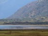 20131002_lake_manyara_np_flug_sansibar_mk081