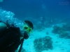 20150716-23_el_gouna_tauchen_egypt_mm020