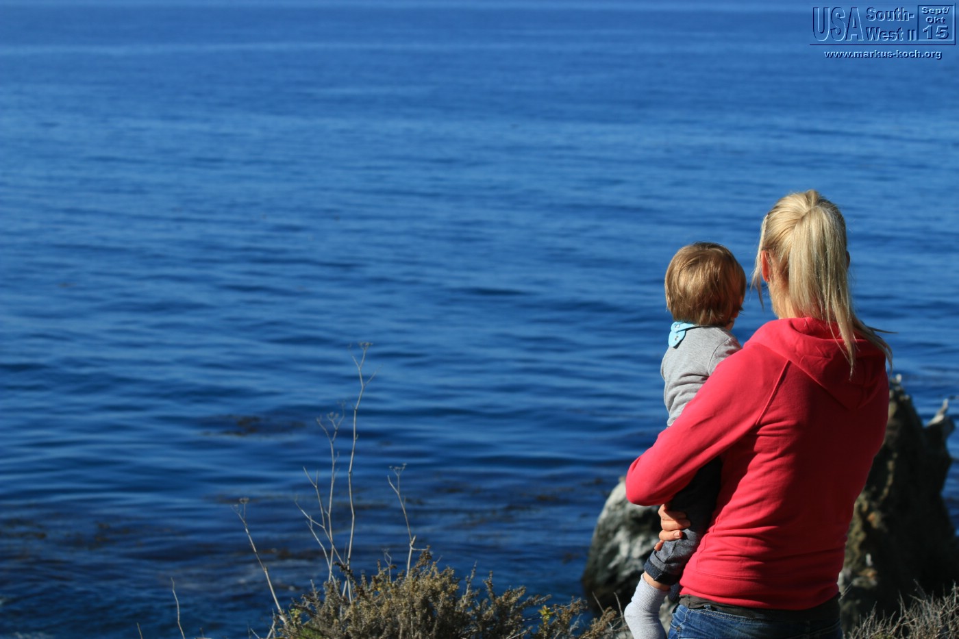 20150917_kirkcreek_us1_bigsur_monterey_watsonville_mk026