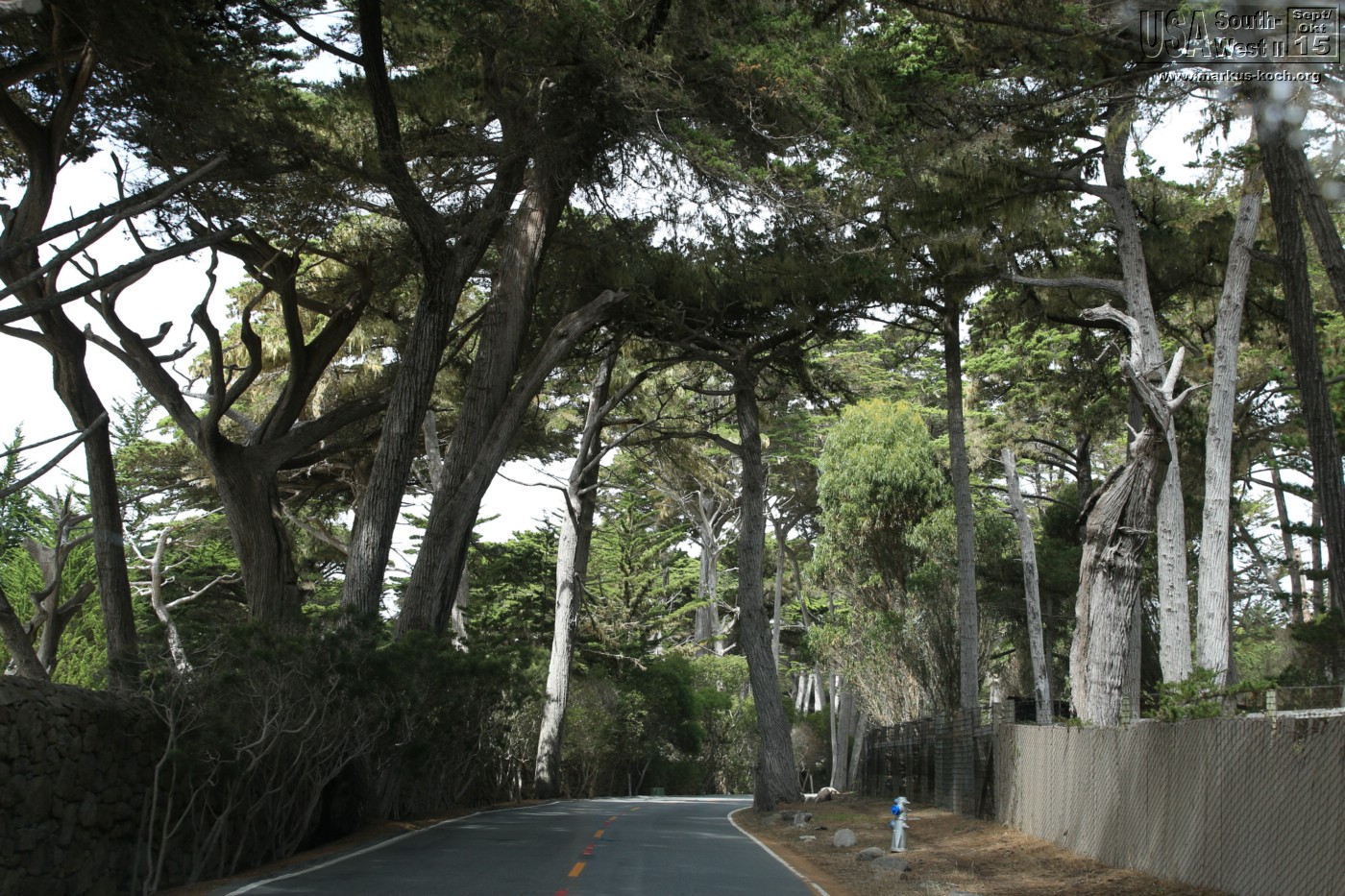 20150917_kirkcreek_us1_bigsur_monterey_watsonville_mk146