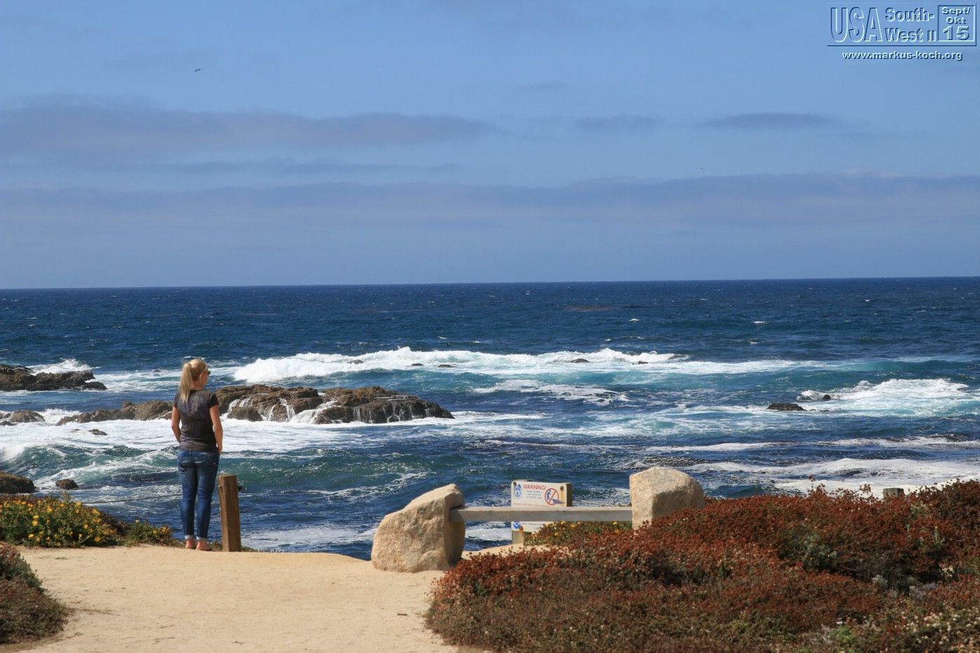 20150917_kirkcreek_us1_bigsur_monterey_watsonville_mk164