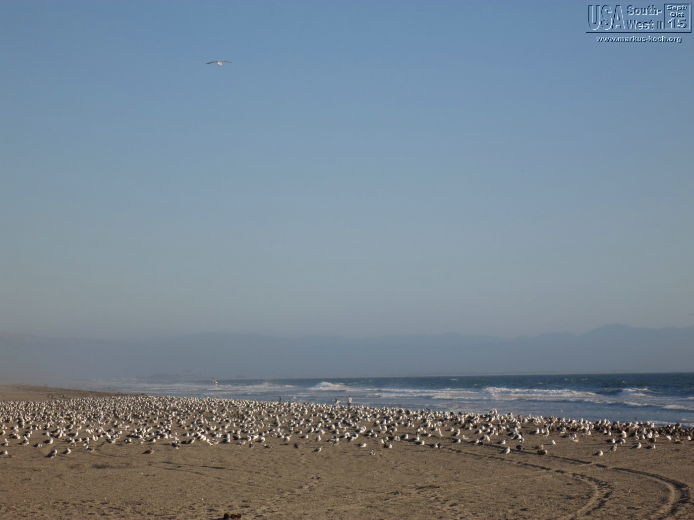 20150917_kirkcreek_us1_bigsur_monterey_watsonville_mk273