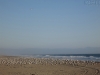 20150917_kirkcreek_us1_bigsur_monterey_watsonville_mk273