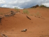 20151005_bryce_coralpinksanddunes_mk52