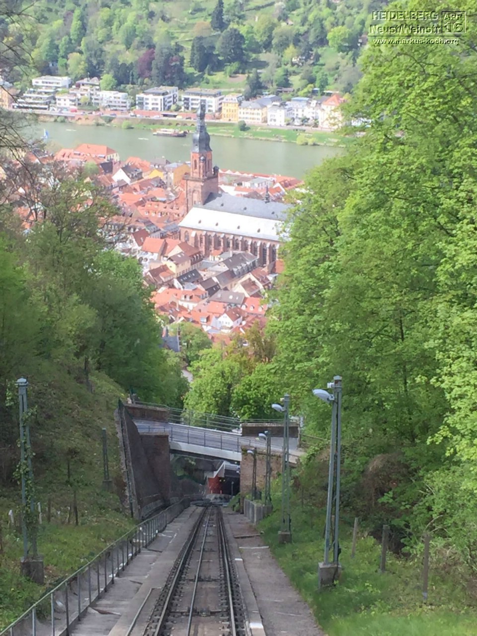 20160430-0501_weinprobe_heidelberg_neustadt_weinstr_xnico05