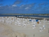 20170617-25_187_spo_nordsee_mk187