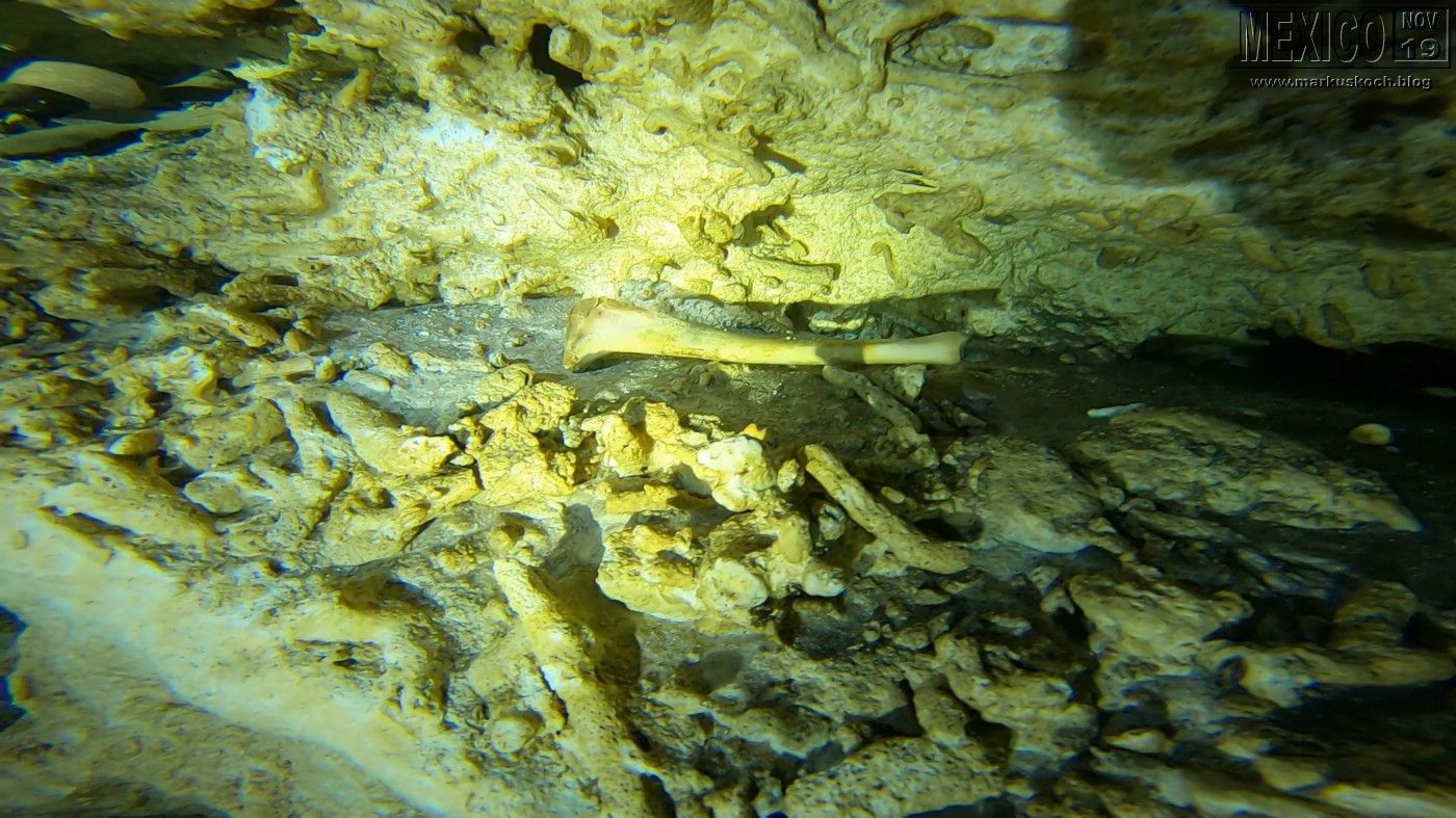 2019113-28_rivieramaya_mexiko_mk0817