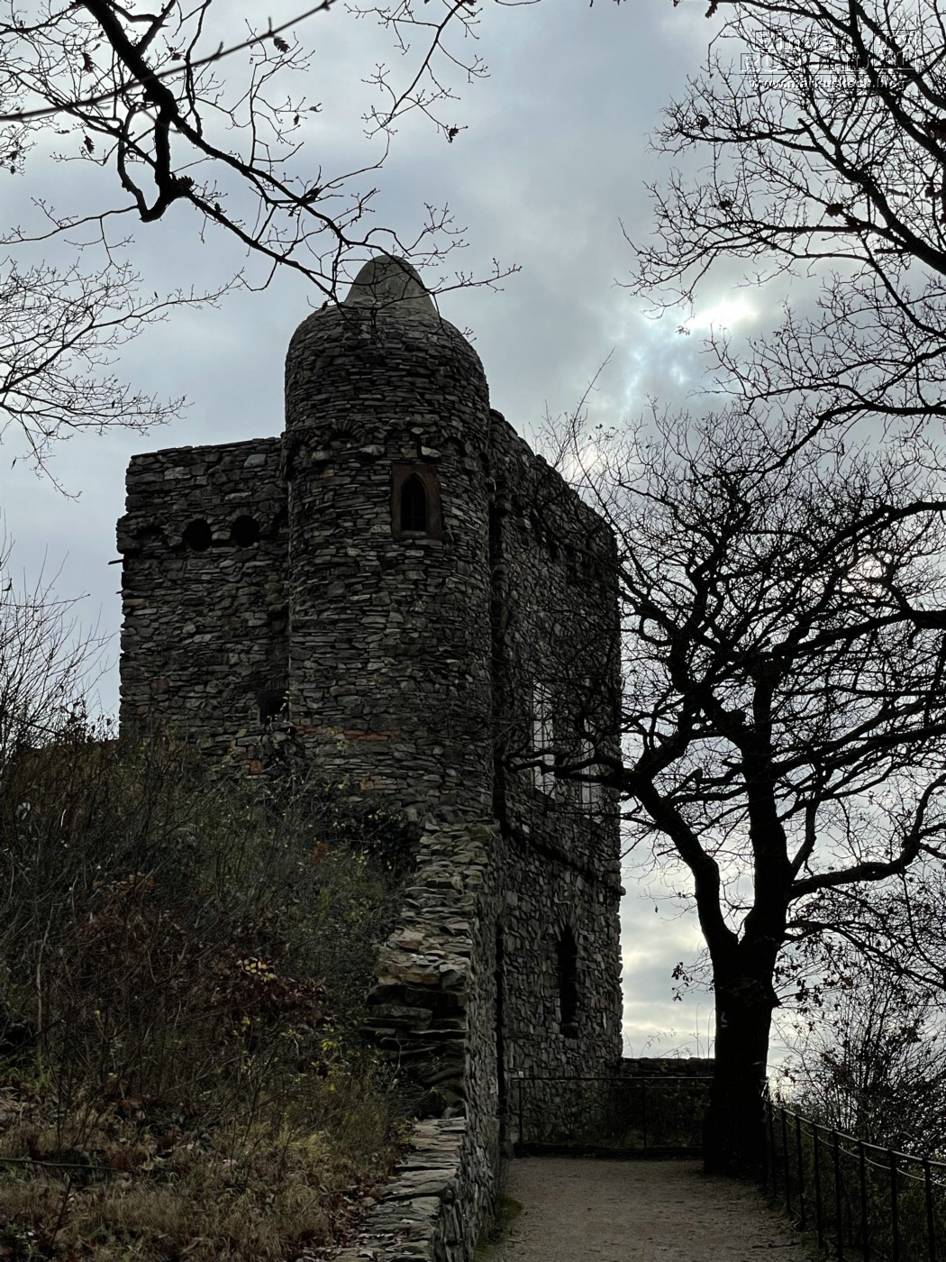 20211117-18_bingen_ruedesheim_lorely_heidelberg_mk029