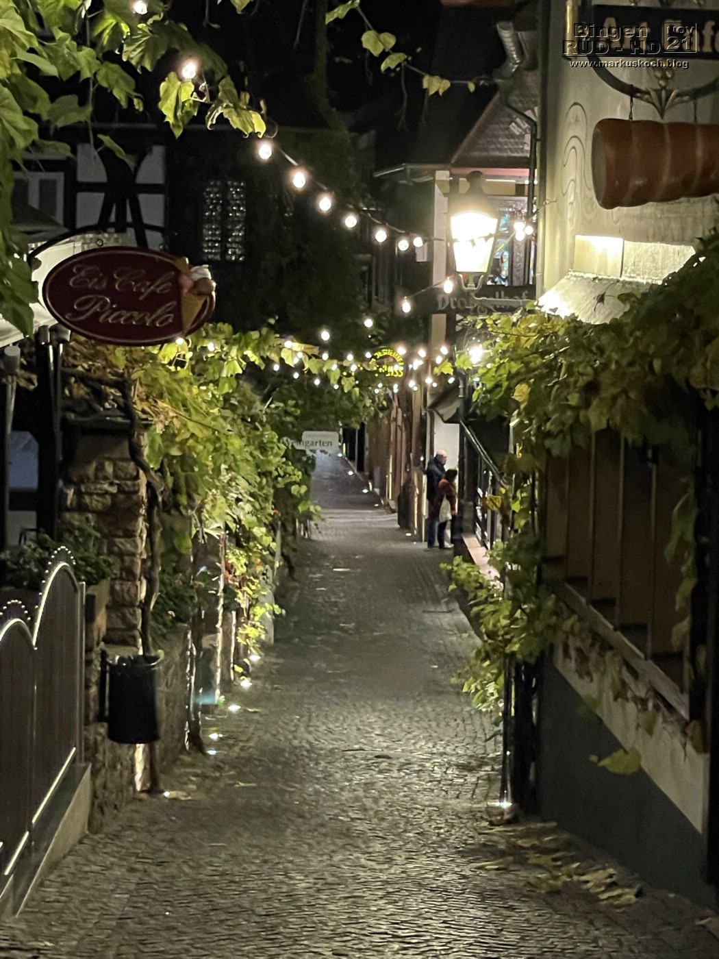 20211117-18_bingen_ruedesheim_lorely_heidelberg_mk056