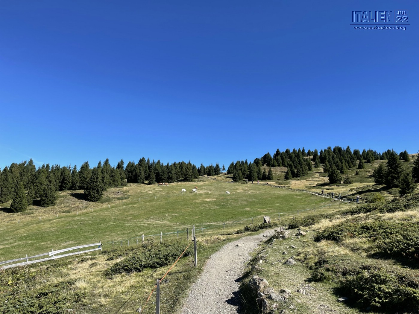 20220819-25_gardasee_idro_bozen_seiseralm_mk522