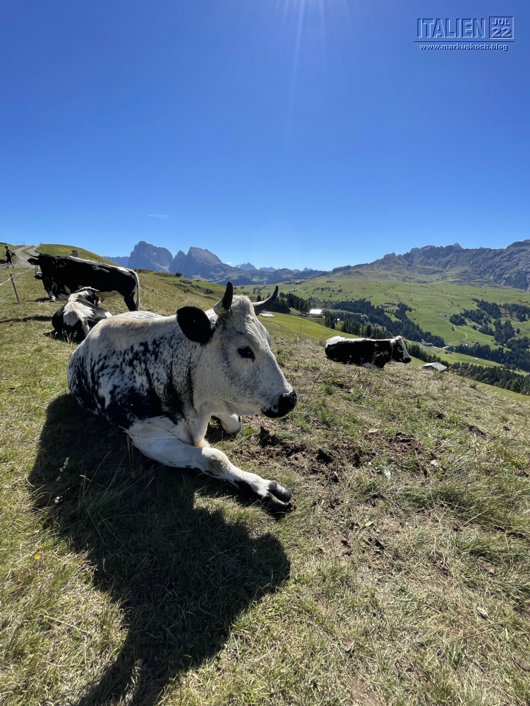20220819-25_gardasee_idro_bozen_seiseralm_mk531