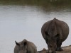 20221103-21_suedafrika_kapstadt_gardenroute_mk0949