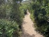 20221103-21_suedafrika_kapstadt_gardenroute_mk1784