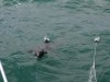 20221103-21_suedafrika_kapstadt_gardenroute_mk2113