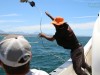 20221103-21_suedafrika_kapstadt_gardenroute_mk2257