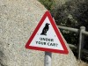 20221103-21_suedafrika_kapstadt_gardenroute_mk3019